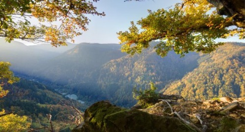 Black Forest, Germany