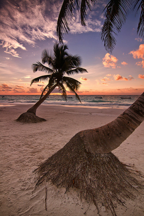 ponderation:  Postcard from Tulum by Todd adult photos