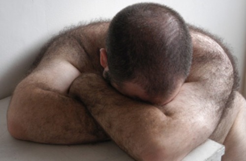 bearso:  More bears?,Follow me! ↘BEARSO!  