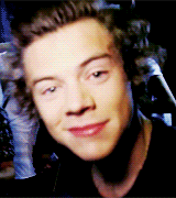 harryhershel-blog:  1D Vault 2 - 2013 Memories 