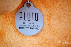 minnie-mickey-disney:  If Found by KerriNikolePhotography