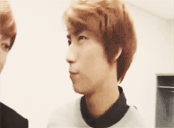 tienyeol:  x 