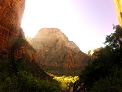 dreadedgrape:  last year in zion national