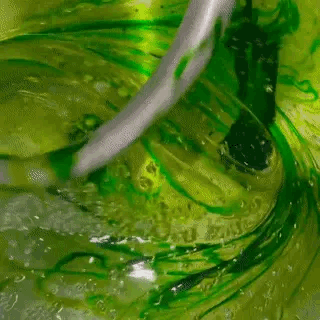 Color Of The Day: Green 