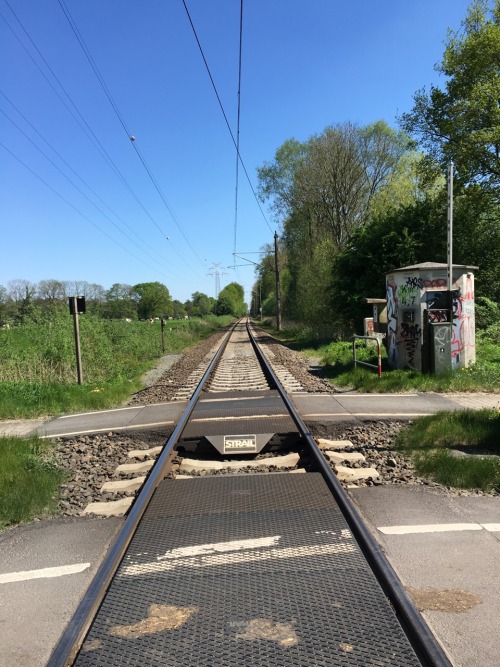 Warum in die Ferne schweifen, wenn das Gute doch so nahe liegt? ~ Oldenburg