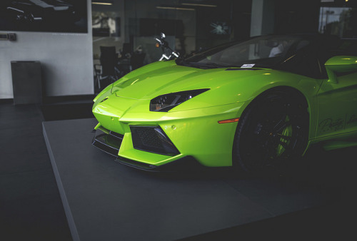 automotivated:  (via Aventador | Flickr - Photo Sharing!)
