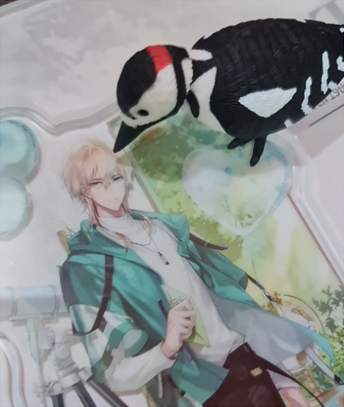 Midnight Epilogue Is Still Haunting My Brain. Anyway, Here Is Alkaid Getting Attacked By A Woodpecker:
