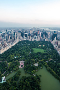 agreeing:  Central Park Aerial 