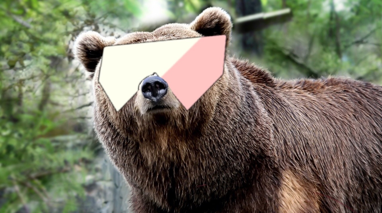 This is Garnet, bear together.