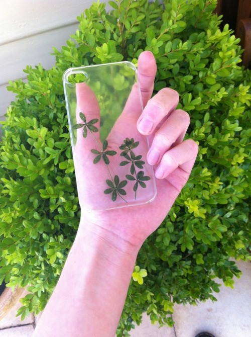 aeonum:sarah gave me an iphone case with real plants in it :—)