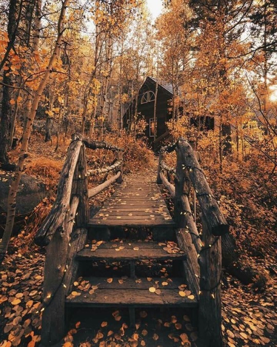 anessenceofautumn: 