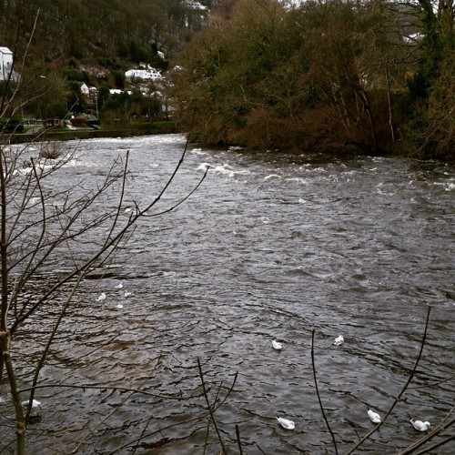 arcano-corvus:  #llangollen #wales #cymru #water #river