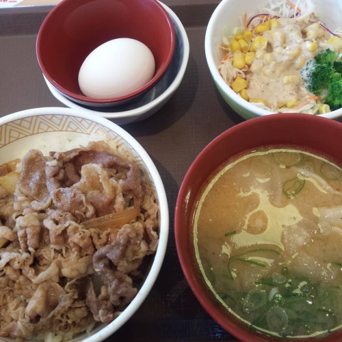 いつかの、すき家。豚汁にはまっていた時期もありました#すき家#ramen #肉#タンメン #から揚げ #海鮮丼 #海鮮#アジ #JAPAN#washoku #1月22日 #ジオタグ復活して#いつか#が