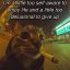 st0n3rkitty