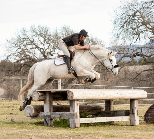 Cross Country Schooling!www.facebook.com/miaowensphotography