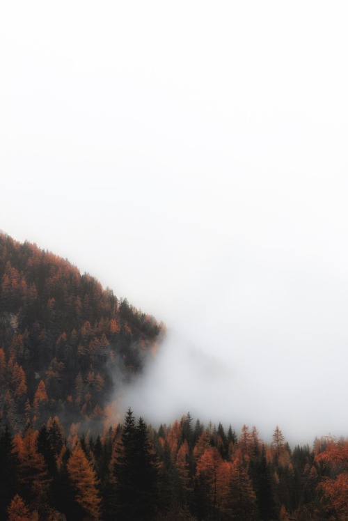 drxgonfly:  Rein in Taufers, South Tyrol, Italy (by eberhard grossgasteiger)