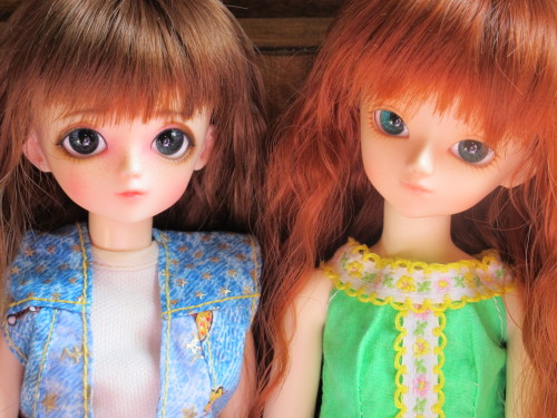 Megan and Bree (Bluefairy Shiny Fairy Junior Hana and Benjamin girl)