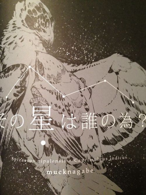 midnitewolfy:  king-in-yellow:  Ever wanted to see a secretary bird make out with a lammergeier? Nah, me neither.  REMEMBER THE BIRD BL DOUJINSHI? Here are a couple of sample images from both FORBIDDEN BIRD BOY LOVE ~Eden~ and FORBIDDEN BIRD BOY LOVE