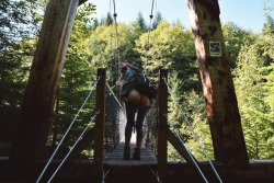 kaylaizapotato:I like this picture because there were hikers on the bridge 10 feet in front of me🌱