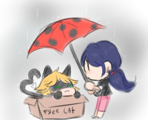 GIVE ME MORE MARICHAT