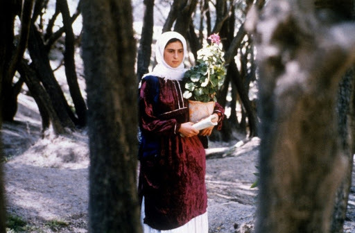 he–is–not–here:Flowers in Kiarostami films.Close-Up (1990) - کلوزآپ ، نمای نزدیک‎, Klūzāp, nemā-ye nazdīk. Through the Olive Trees (1994) - زیر درختان زیتون‎ Zīr-e Derakhtān-e Zeytūn.Where Is