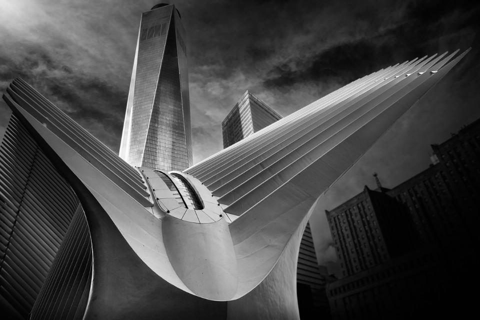 archatlas:        EmotionArch by Alessio ForlanoAlessio Forlano, an architect Italy,
