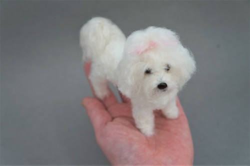  A needle felted senior Maltese based on the inset image.  Have a great weekend!