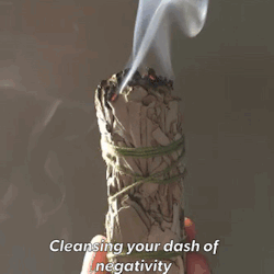 reshajadore:  Reblog this burning sage to cleanse your life of negative people and vibes. 