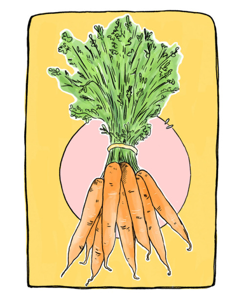 julykings: some carrots for you !  [more]