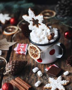 hello-christmas:  wintercozy: By baking_maniac