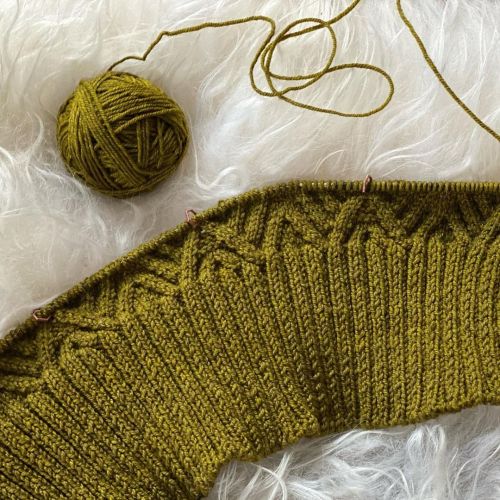 I decided it was finally time to conquer designing a cabled cardigan…well, actually, my needl