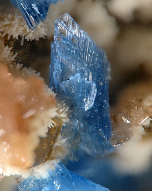 Vauxite and Childrenite on Quartz matrix - Siglo X X Mine, Llallagua, Potosi Department, Bolivia