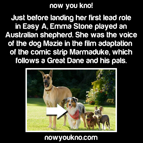 nowyoukno:  Source for more like this follow NowYouKnow 