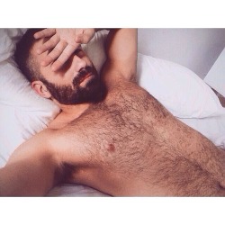 hairyhotman:  http://hairyhotman.tumblr.com/