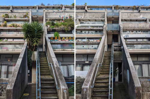 Alexandra Road Estate – the difference plants make.Feb 2020