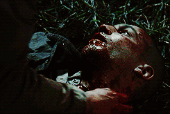 Fight the Dead. Fear the Living.