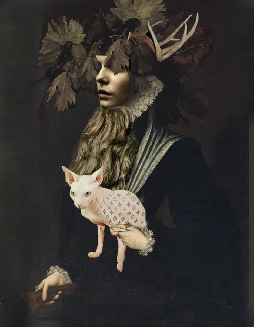 XXX asylum-art:   Grotesque collages by Igor photo