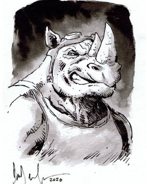 Rocksteady and Bebop. #tmnt #teenagemutantninjaturtles #ninjaturtles #bebop #bebopandrocksteady #roc