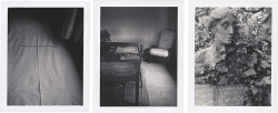 shewouldbuytheflowers:  Patti Smith´s polaroids of Virginia