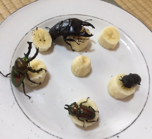 ( ง ゜Д゜)ง