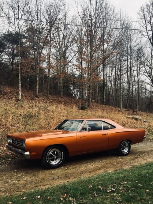 jacdurac:  Absolutely gorgeous 1969 Plymouth Road Runner