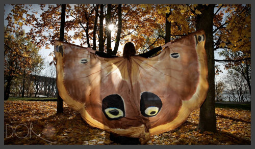 sosuperawesome:  Hand painted silk butterfly wings by PracowniaDor on Etsy  • So Super Awesome is also on Facebook, Twitter and Pinterest • 