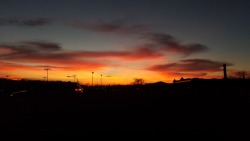 azhuresunsoar:the sunset this evening was gorgeous, the colors were so bright.  wish I could’ve gotten a better picture of downtown but I could only take it through the windshield while we drove by (I’m a passenger, not the driver :P)