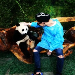 kpopinstagrampictures:  xxxibgdrgn: 💚🐼💚