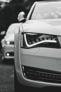 thelavishlife:  Audi Perfection 
