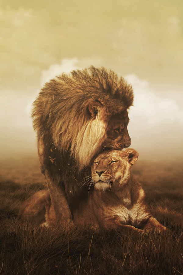 archangvl:  Stay With Me | Scott Black 