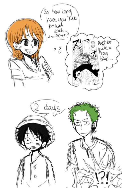 daonepiece:jinxtpla:i am rereading one piece and zoro has already almost killed himself to save luff