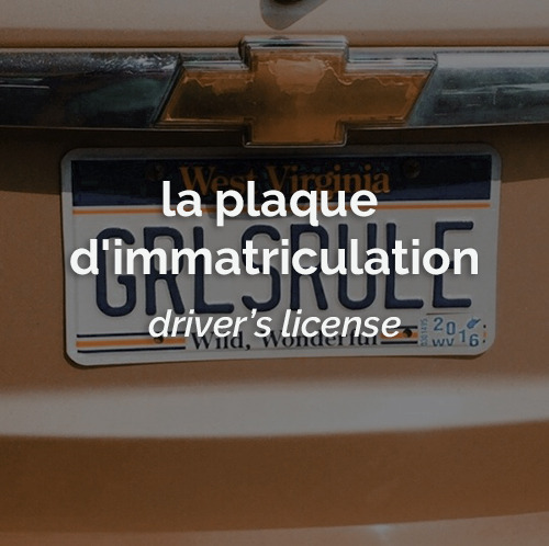 dailyfrench:le 6 novembre   ⋮   la plaque d’immatriculation   ⋮   driver’s license