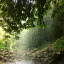 a-most-beautiful-world