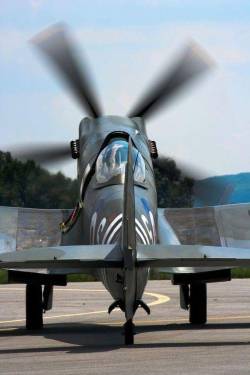 stukablr:  Supermarine Spitfire engine warm up 